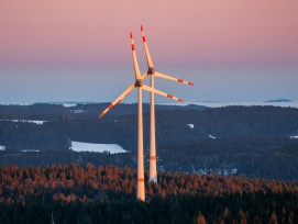 Windräder im Wald
