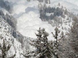 Eine Staublawine im Bergwald.