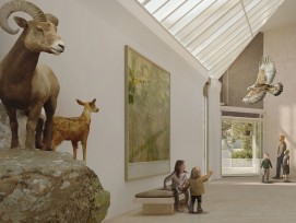 Erweiterung Bündner Naturmuseum (Innenansicht)