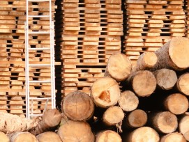 Bretter und Baumstämme (Symbolbild)