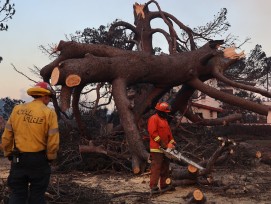 Aufräumarbeiten nach dem Brand bei Los Angeles im Januar 2025.