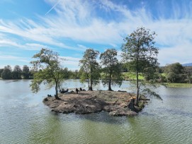 2026-01-19-bkd-inkwilersee-insel