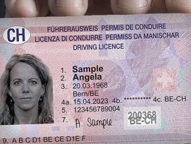 Neuer_Fuehrerausweis_v01_crop-edited-1200x423