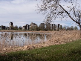 Lorzenebene Zug Landschaft des Jahres 2026