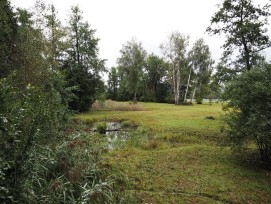 klotener riet 1 - wikicommons - Arkelin