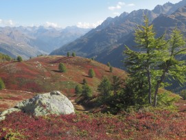 Panorama bei bei Maniò di sopra im Bedretto-Tal.
