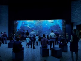 Visualisierung Haifischbecken im Zoo von Olomouc