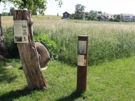 Station 9 des Pfahlbauwegs am Pfäffikersee