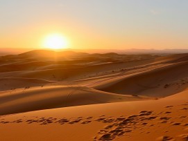 Sahara-Wüste
