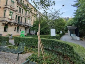 Baumpflanzung in St. Gallen