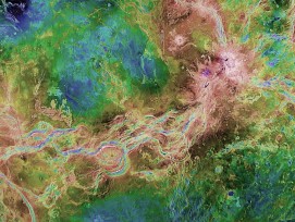 Venus