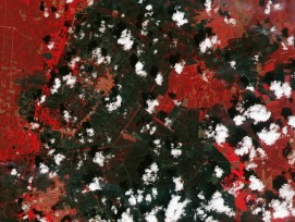 Aufnahme der Copernicus-Sentinel-2-Mission von den Waldbränden bei Bordeaux, 26. Juli 2026.  (Falschfarbenbild)