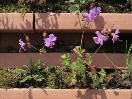 GreenBrick, Detailaufnahme