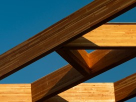 Holzstruktur