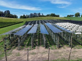 Agri-Solaranlage FiBL in Frick