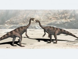 So könnte der Plateosaurus einst ausgesehen haben (Nobu Tamura, CC BY 3.0, wikimedia.org)