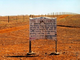 Die Dingo Fence gilt als längster Zaun der Welt. (Schutz, CC BY-SA 3.0, Wikimedia)
