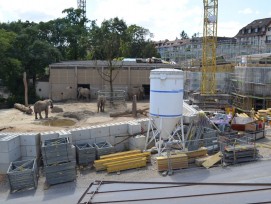 Blick auf die Grossbaustelle im Basler Zoo. In der Bildmitte ist das alte Elefantenhaus zu sehen (stg)