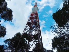 So hoch wie der Eiffelturm: der Messturm im Amazonas. (PD/MPIC Kesselmeier)