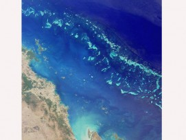 Das Great Barrier Reef hat eine Länge von 2300 Kilometern und eine Fläche von 347.800 Quadratkilometern. (Foto: Nasa, by MISR)  