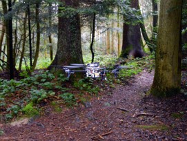 Dank künstlicher Intelligenz findet die Drohne auch im Wald ihren Weg. (zvg)