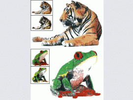 Vom Photo zum Graffiti - so sehen Tiger und Frosch aus der Spraydose aus. (Wojciech Jarosz/Dartmouth College)