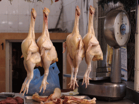 Vernebelt in der Sternwarte Alterswil FR bald Pouletmaststaub den Blick auf den Sternenstaub? (Symbolbild: Tomás Castelazo, CC BY-SA 3.0)