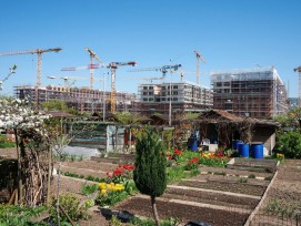 Auf dem Gelände eines ehemaligen Zollfreilagers in Zürich wurden vorwiegend Wohnungen gebaut (Gabriel Diezi)