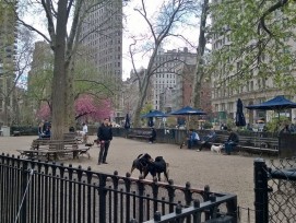 In New York gehören Hundeparks schon lange zu den beliebten Treffpunkten für Zwei- und Vierbeiner (zvg)