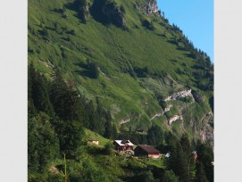 Die Wildheumatten befinden sich an sehr steilen Lagen, so auch im Isenthal. (Mary Leibundgut/ SL) 1/4