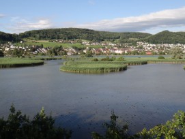 Klingnauer Stausee: In diesem Naturschutzgebiet können mehr als 300 Vogelarten beobachtet werden (Birdlife Schweiz)