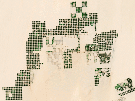 Die grüne Pracht in der Ostsahara... (Nasa)