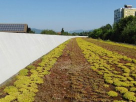 Die wirtschaftlichste Anordnung der Photovoltaik-Module ist die Ost-West-Ausrichtung. Sie weist über den Tagesverlauf eine gut verteilte Stromproduktion mit kleineren Spitzen am Mittag auf. Die Neigung von 15 Grad begünstigt die Selbstreinigung der Module