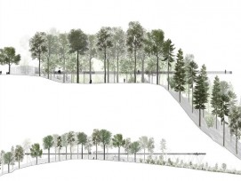 Profil des geplanten Streckenverlaufs des Baumwipfelpfades Neckertal. (Visualisierungen und Pläne: zvg)