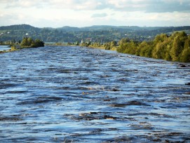 Hochwasser beim Alpenrhein, Symbolbild. (Alfons J. Kopf pixelio.de)