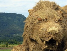 Ein Löwe aus Reisstroh