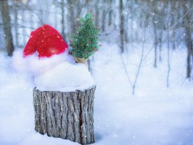 Weihnachtsmütze, Symbolbild.