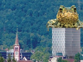 Flyer der Hochhaus-Gegner mit dem Slogan „Diese Kröte schlucken wir nicht“.