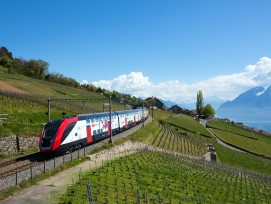 Der neue FV-Dosto in Lavaux.