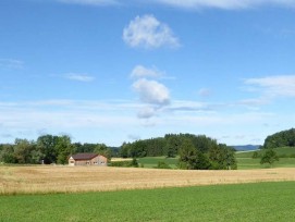 Einer der empfohlenen Standorte: Das Gebiet Chellen zwischen Zumikon und Maur.