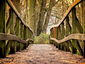 Holzbrücke, Symbolbild.