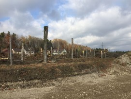 Frisch gerodete Fläche im Giriz: Die noch stehenden Baumstämme werden als Ufersicherung eingebaut.