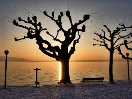 Zugersee am Abend