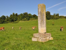 Wiese bei Augusta Raurica.