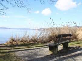 Bänkli am Sempachersee