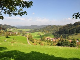 Zürcher Oberland: Bäretswil, Neuthal und Hinterburg im Tösstal.