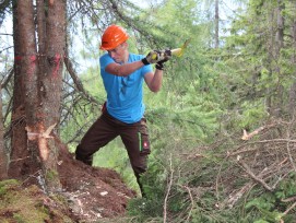 Arbeiten fürs Bergwaldprojekt.