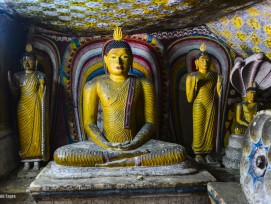 Sri Lanka: Dambulla Höhlentempel