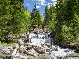 Bei Hochwasser besteht Verklausungsgefahr durch mitgeführtes Holz. Löst sich die «Verstopfung» bei grossem Druck, stürzen die angestauten Wassermassen und Materialien unkontrolliert ins Tal.