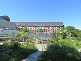 Botanischer Garten der Universität Basel
